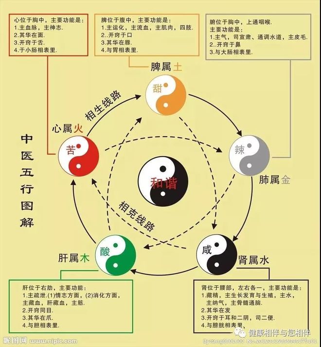 李忠民代餐粉 历史背景开云体育 开云平台(图5)