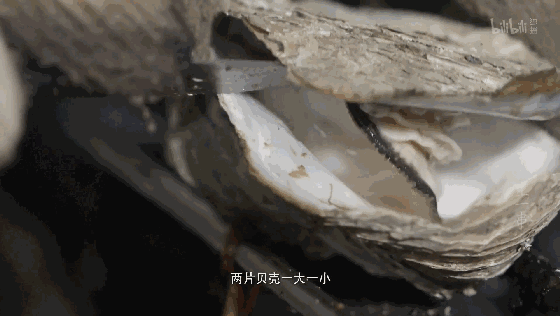 几乎能排名全国第一广东这座城的美开云 开云体育APP食真·封神(图35)