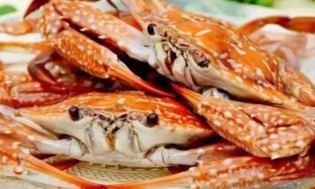 对不起我给湛江人拖后腿了开云体育 开云平台(图11)