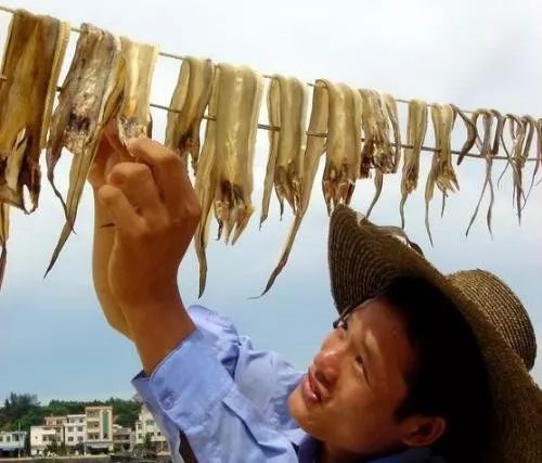 对不起我给湛江人拖后腿了开云体育 开云平台(图54)