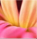 开云 开云体育平台南京食为先培训学校(图10)