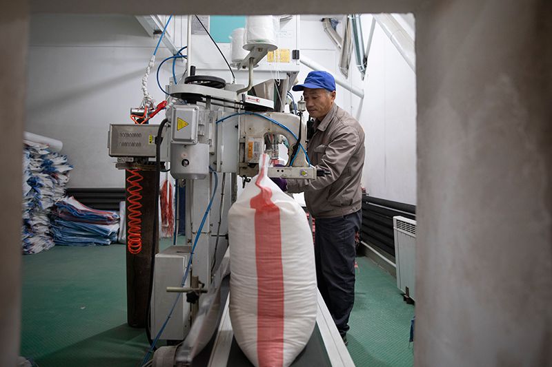 黑龙开云 开云体育APP江宁安：粮食丰收加工忙(图4)