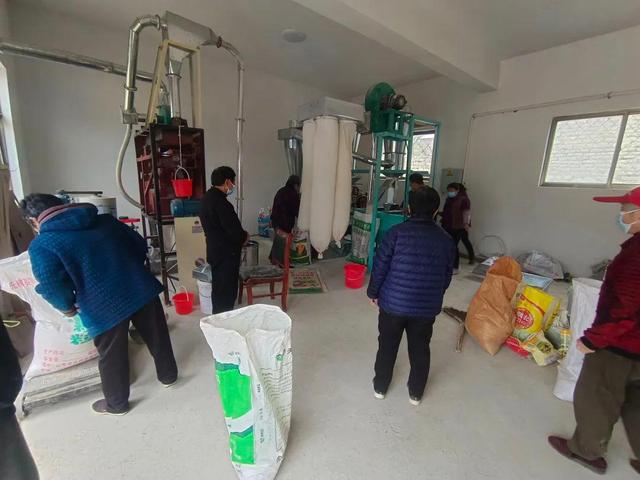 开云 开云体育APP「乡村振兴」粮食丰收季 谷米加工忙｜孔村镇团山沟村：农产品加工车间开业啦(图3)