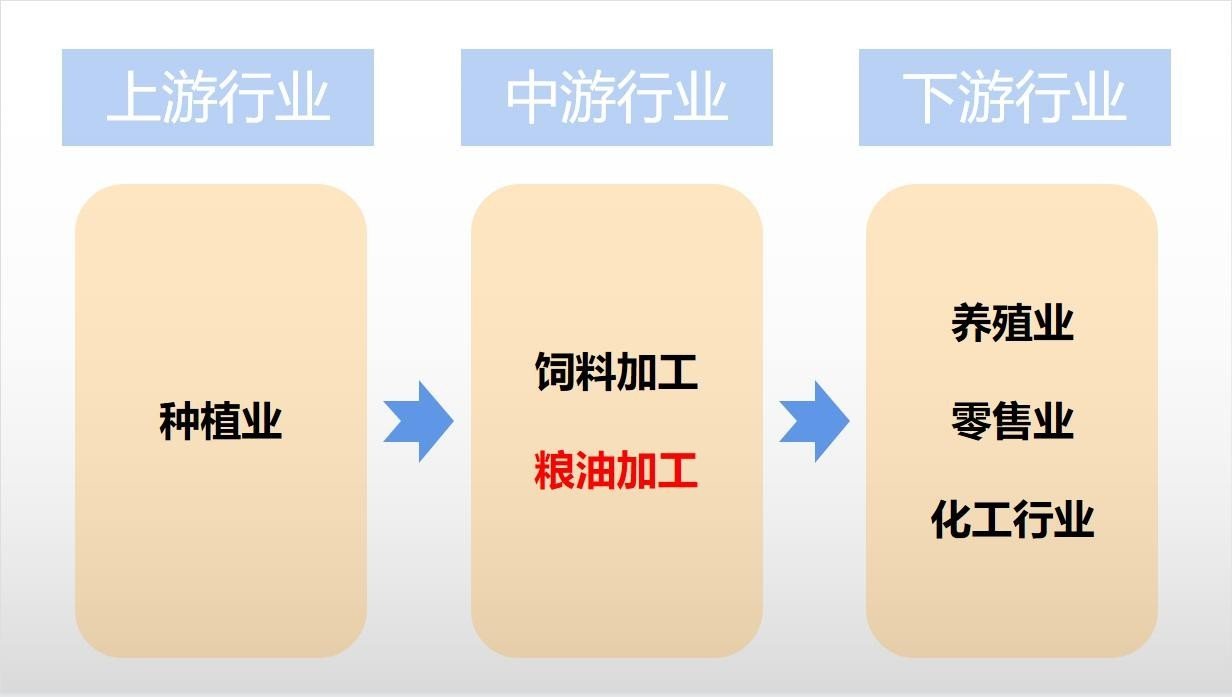 粮油加工板块研报：行业“天花板”下 粮业的开拓之路开云体育 开云官网(图2)