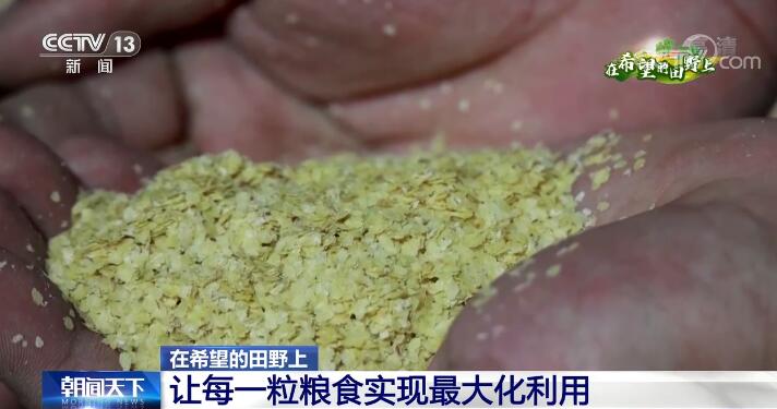 在希望的田野上 技术革新 让每一粒粮食实现最大化利用开云 开云体育平台(图2)