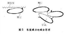 开云 开云体育粮食加工_360百科(图2)