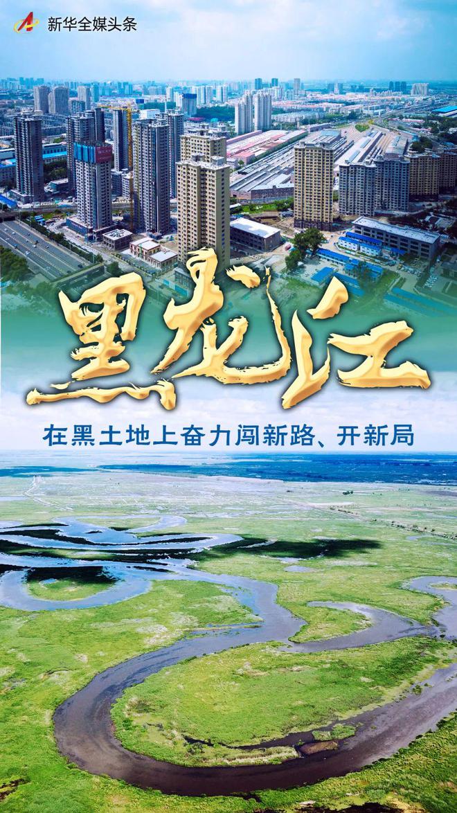 开云 开云体育官网黑龙江的非凡十年北大荒打头阵！(图3)