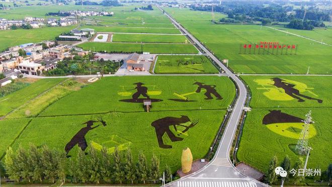 开云体育 开云平台崇州建圈强链育“天府好粮”(图6)
