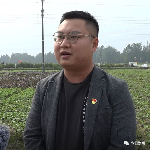 开云体育 开云平台崇州建圈强链育“天府好粮”(图8)