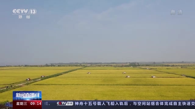 开云 开云体育平台机收减损工艺改造、产业链延伸 我国粮食全链条减损取得积极进展(图2)