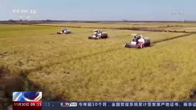 开云 开云体育平台机收减损工艺改造、产业链延伸 我国粮食全链条减损取得积极进展(图4)