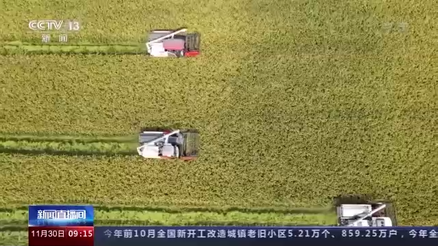开云 开云体育平台机收减损工艺改造、产业链延伸 我国粮食全链条减损取得积极进展(图6)