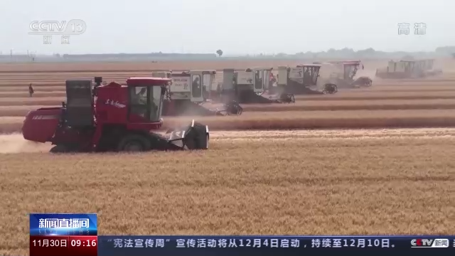 开云 开云体育平台机收减损工艺改造、产业链延伸 我国粮食全链条减损取得积极进展(图8)