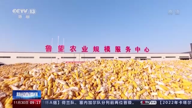 开云 开云体育平台机收减损工艺改造、产业链延伸 我国粮食全链条减损取得积极进展(图11)