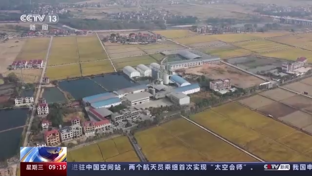 开云 开云体育平台机收减损工艺改造、产业链延伸 我国粮食全链条减损取得积极进展(图16)