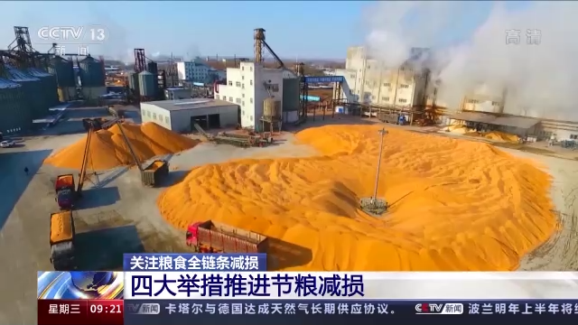 开云 开云体育平台机收减损工艺改造、产业链延伸 我国粮食全链条减损取得积极进展(图21)