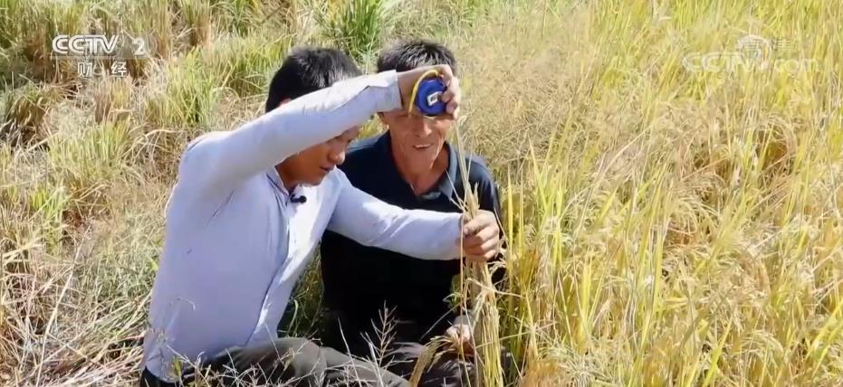 开云 开云体育映象新闻(图2)