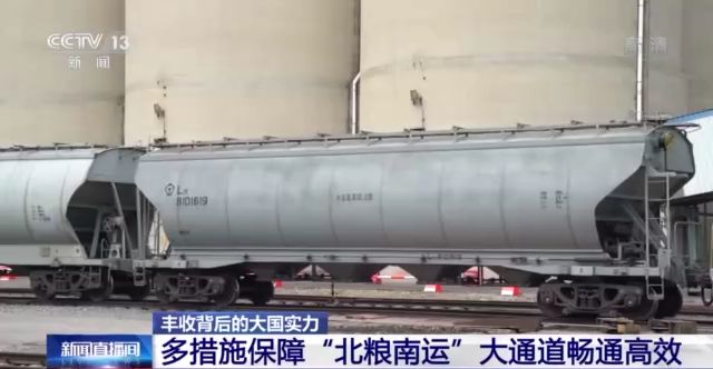 硬开云 开云体育核保供：如何在24小时做出14亿多人两天的“口粮”？(图7)