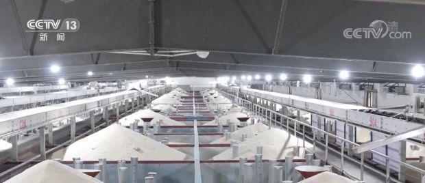 开云体育 开云平台储粮能力大 加工能力强 粮食保障应急“硬实力”提升(图2)