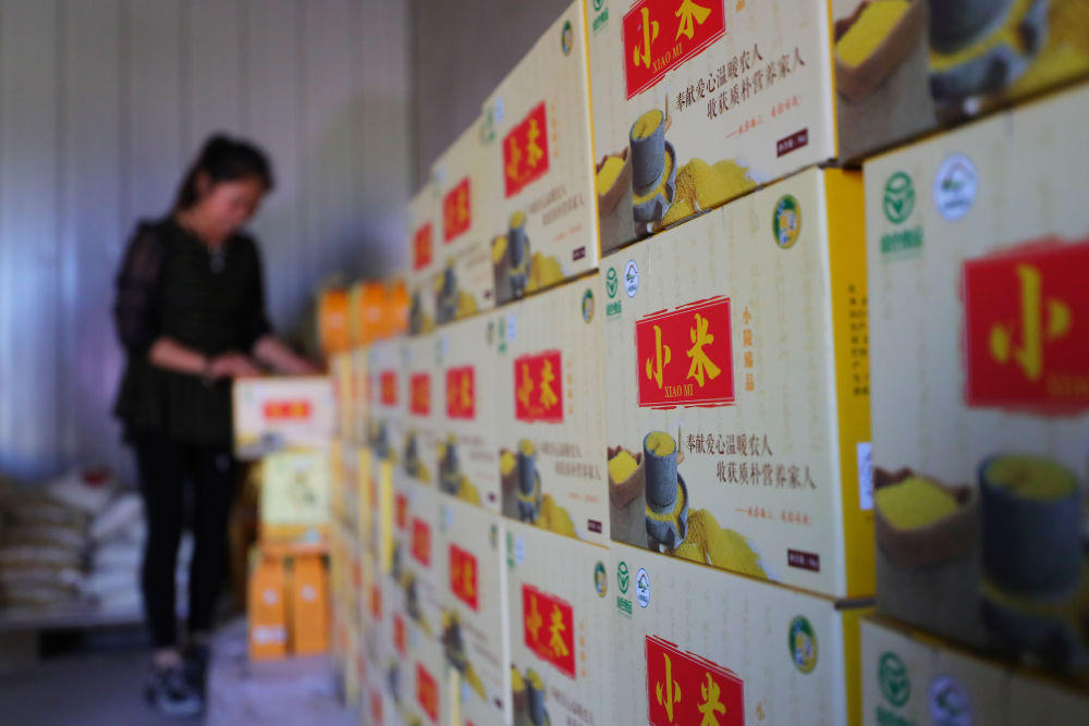 东北粮仓“十九连丰”的开云体育 开云平台密码(图8)