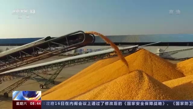 多元+智能！我国秋粮收购进入高峰 各地优化服务确保颗粒归仓开云体育 开云平台(图3)
