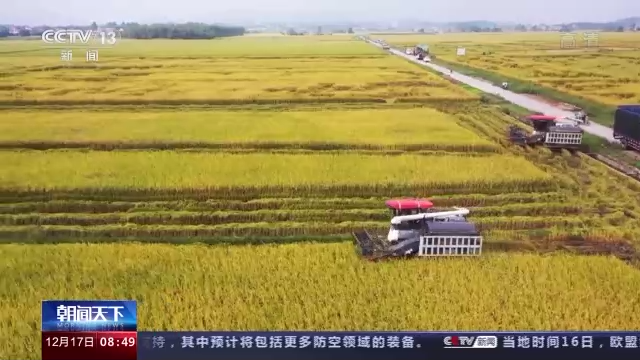 多元+智能！我国秋粮收购进入高峰 各地优化服务确保颗粒归仓开云体育 开云平台(图6)