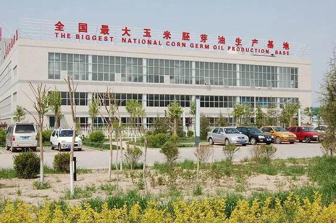 【上市公司】一个村诞生两家上市公司背后的玉米加工产业图开云 开云体育官网景(图4)