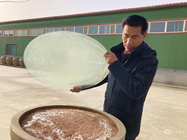 民勤：绿色食品产业崛起！让“民勤味道”香飘四方开云体育 开云官网(图2)