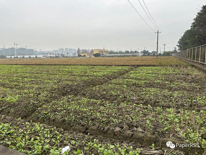 开云体育 开云官网胡培松：农民种粮积极性下降如何保证粮食安全？(图3)