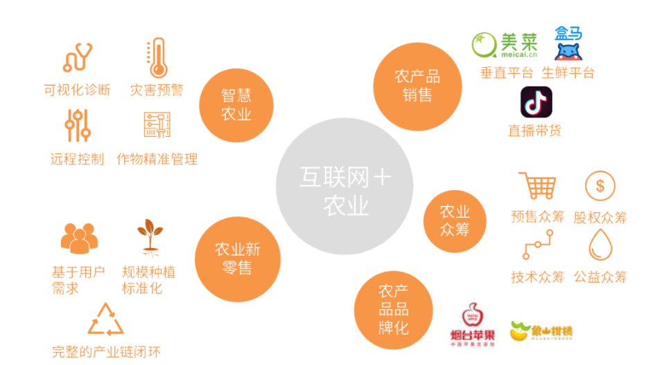 开云 开云体育2022年农产品行业研究报告(图18)