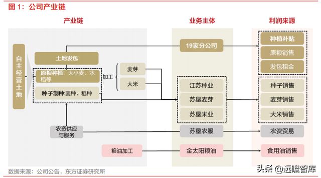 开云 开云体育种植国家队苏垦农发：农垦加工一体化航母纵横发展有道(图2)