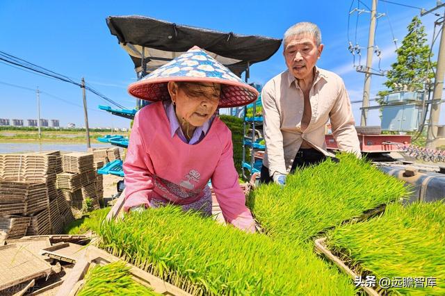 开云 开云体育种植国家队苏垦农发：农垦加工一体化航母纵横发展有道(图7)