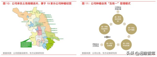 开云 开云体育种植国家队苏垦农发：农垦加工一体化航母纵横发展有道(图10)