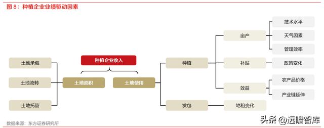 开云 开云体育种植国家队苏垦农发：农垦加工一体化航母纵横发展有道(图8)