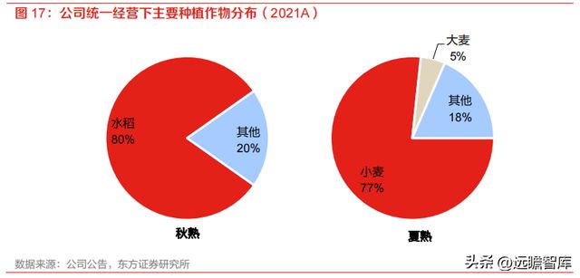 开云 开云体育种植国家队苏垦农发：农垦加工一体化航母纵横发展有道(图14)
