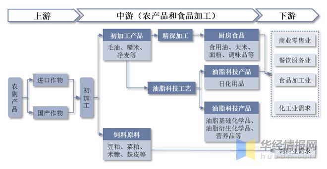 开云体育 开云平台2022年粮油加工产值分布、细分行业营收、利润及主要品种处理能力(图2)