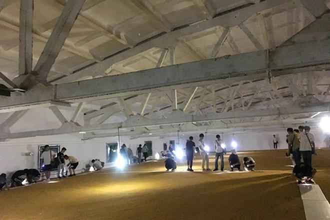 河南工业大学：创新高层次人才强省 助推粮食产业经济强省Kaiyun 开云(图8)