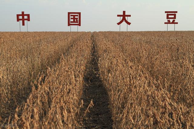 评温铁军张捷观点 先多了解“三农”「我国开云体育 kaiyun.com 官网入口粮食市场与安全布局」篇(图5)