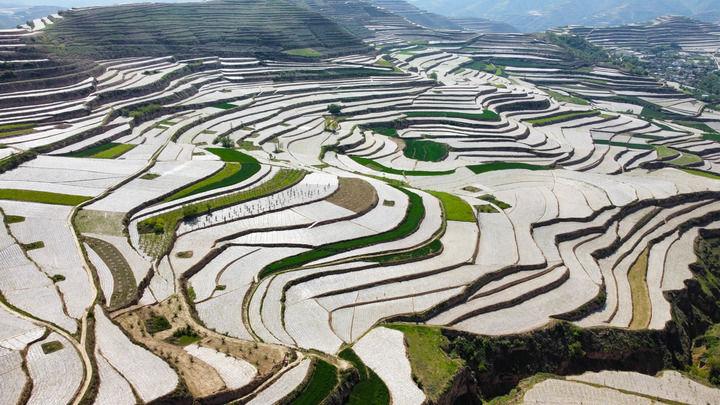 粮稳天下安：中国全开云 开云体育平台方位夯实粮食安全根基(图2)