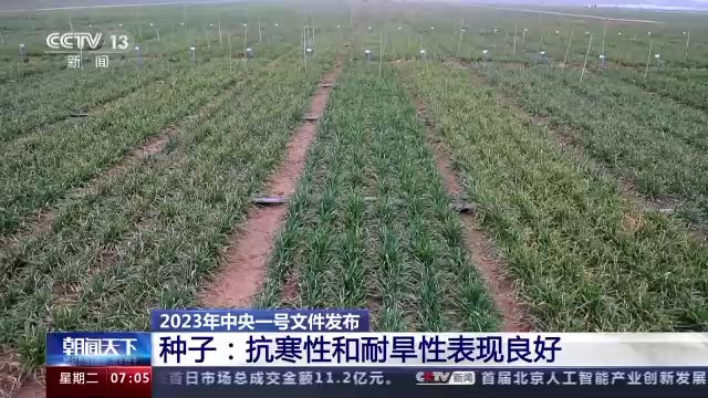 装满“粮袋子开云 开云体育官网” 拎稳“油瓶子”！抓好粮食和重要农产品稳产保供要这样做→(图5)