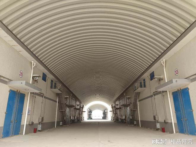 开云 开云体育平台灵山县供销社调研乡村振兴优质稻加工产业园项目(图2)