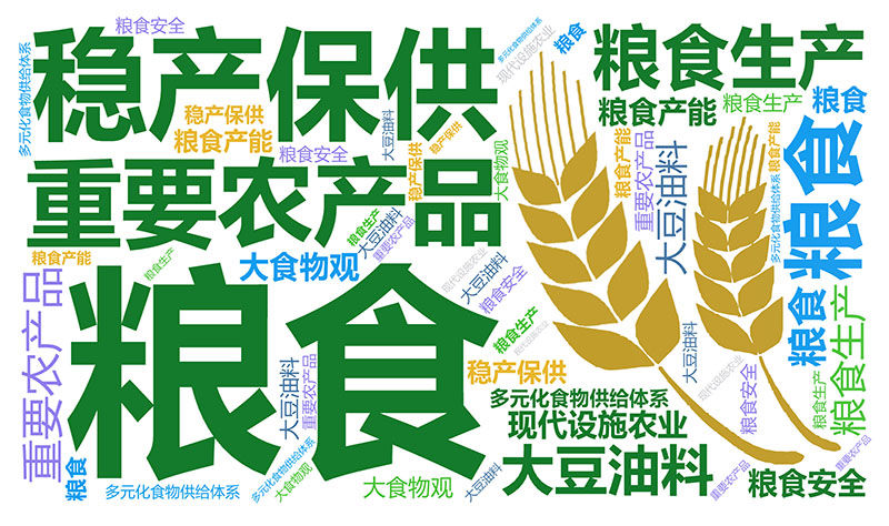 开云 开云体育APP稳产保供：大国根基不动摇(图2)