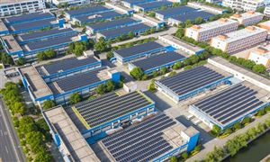开云体育 开云官网2022年粮食加工行业发展趋势及市场前景分析(图2)