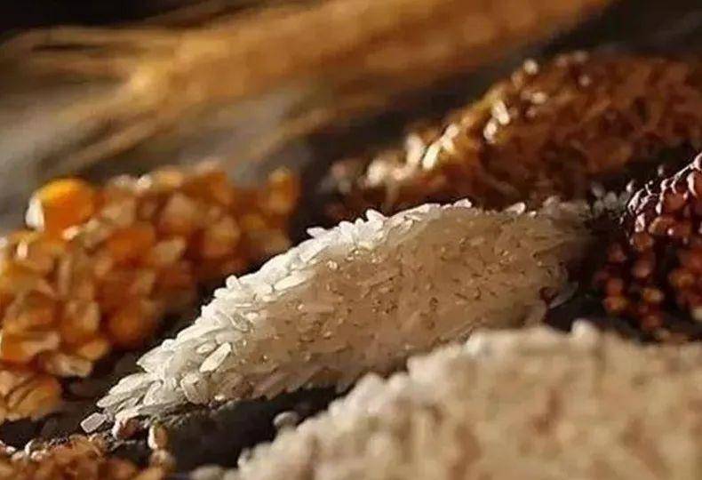 开云体育 开云平台浅析粮食加工行业未来的发展趋势(图4)