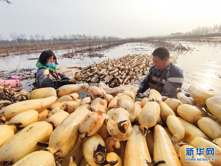 开云APP 开云官网入口府东街｜在大大的菏泽挖呀挖呀挖……(图12)