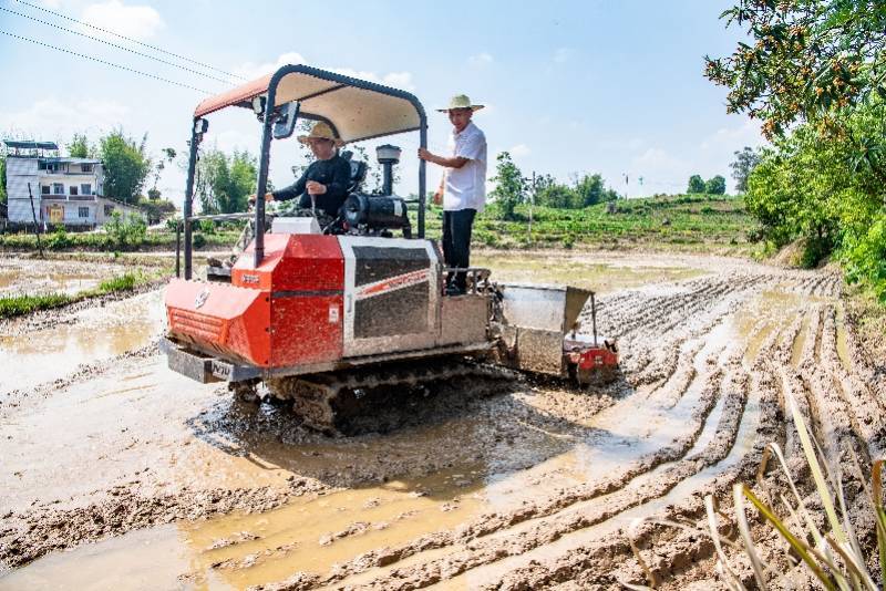 开云 开云体育国粮储局谈粮食安全：推动尽快修订完成《国家粮食应急预案(图2)
