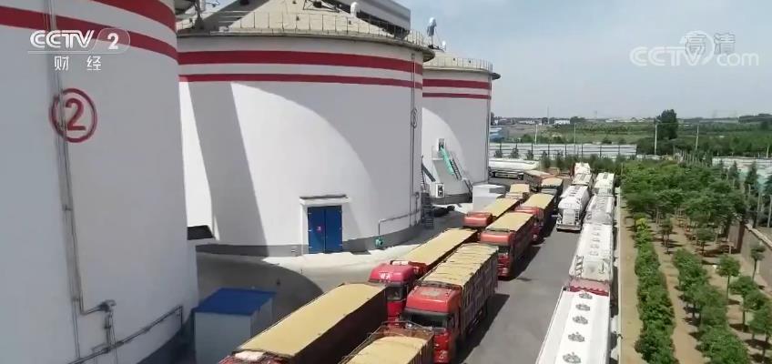 开云体育 kaiyun.com 官网入口河南建立粮油深加工扶持奖励基金 延伸粮食加工产业链促群众增收(图2)