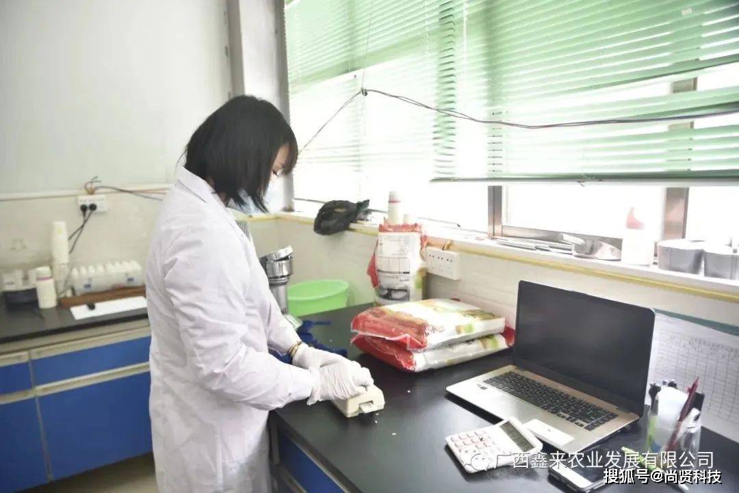 传统大米粮油加工行业如何开云体育 开云平台数字化转型？广西尚贤科技智慧农业数字农业成功案例(图3)