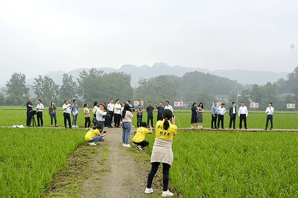 开云体育 开云平台重庆市粮食科技活动周调研活动走进渝米集团(图2)