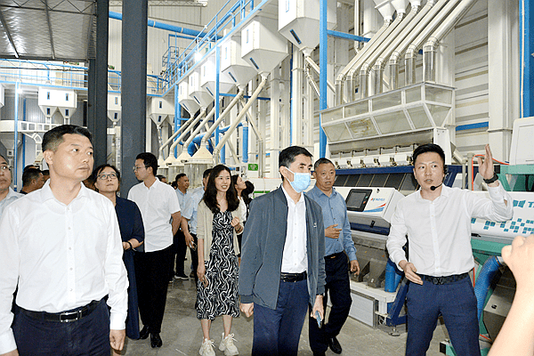 开云体育 开云平台重庆市粮食科技活动周调研活动走进渝米集团(图7)